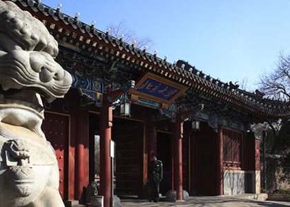 九游体育入口案例五